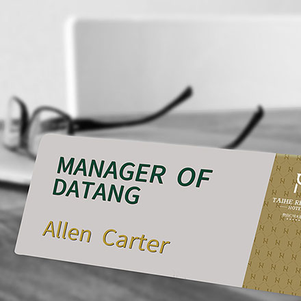 國際快遞公司禮品vi設計案例