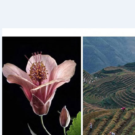 羽絨服哪個(gè)品牌vi設(shè)計(jì)公司案例作品質(zhì)量好